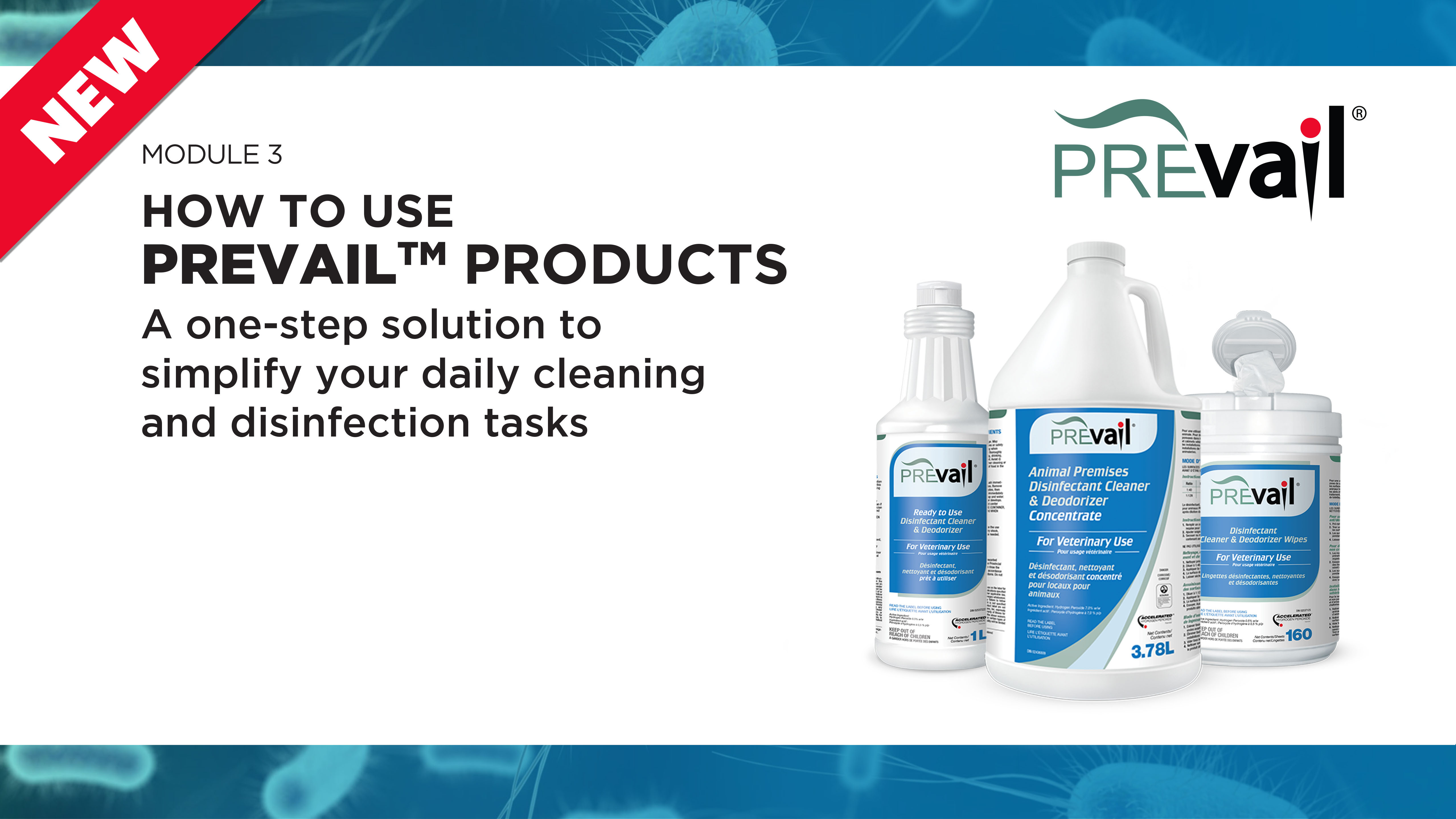 Thumbnail image preview of the How to Use Prevail™ Products course